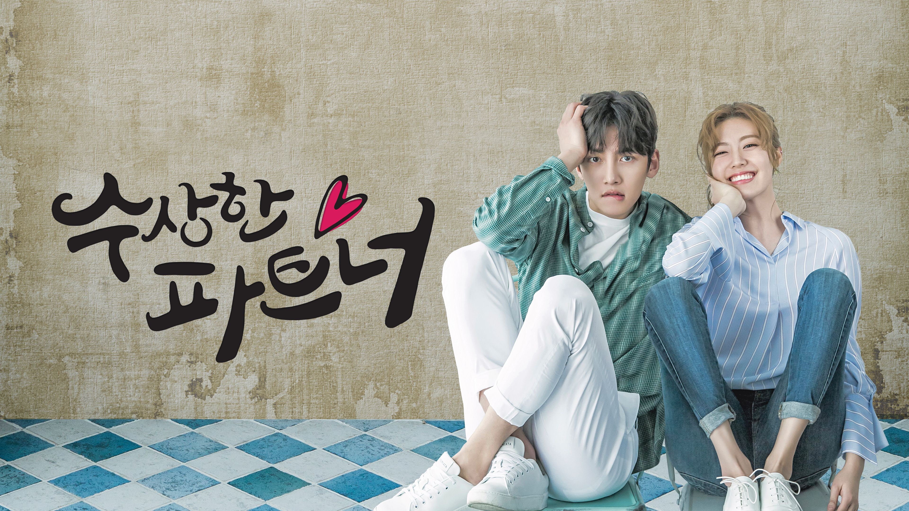 수상한 파트너 포스터