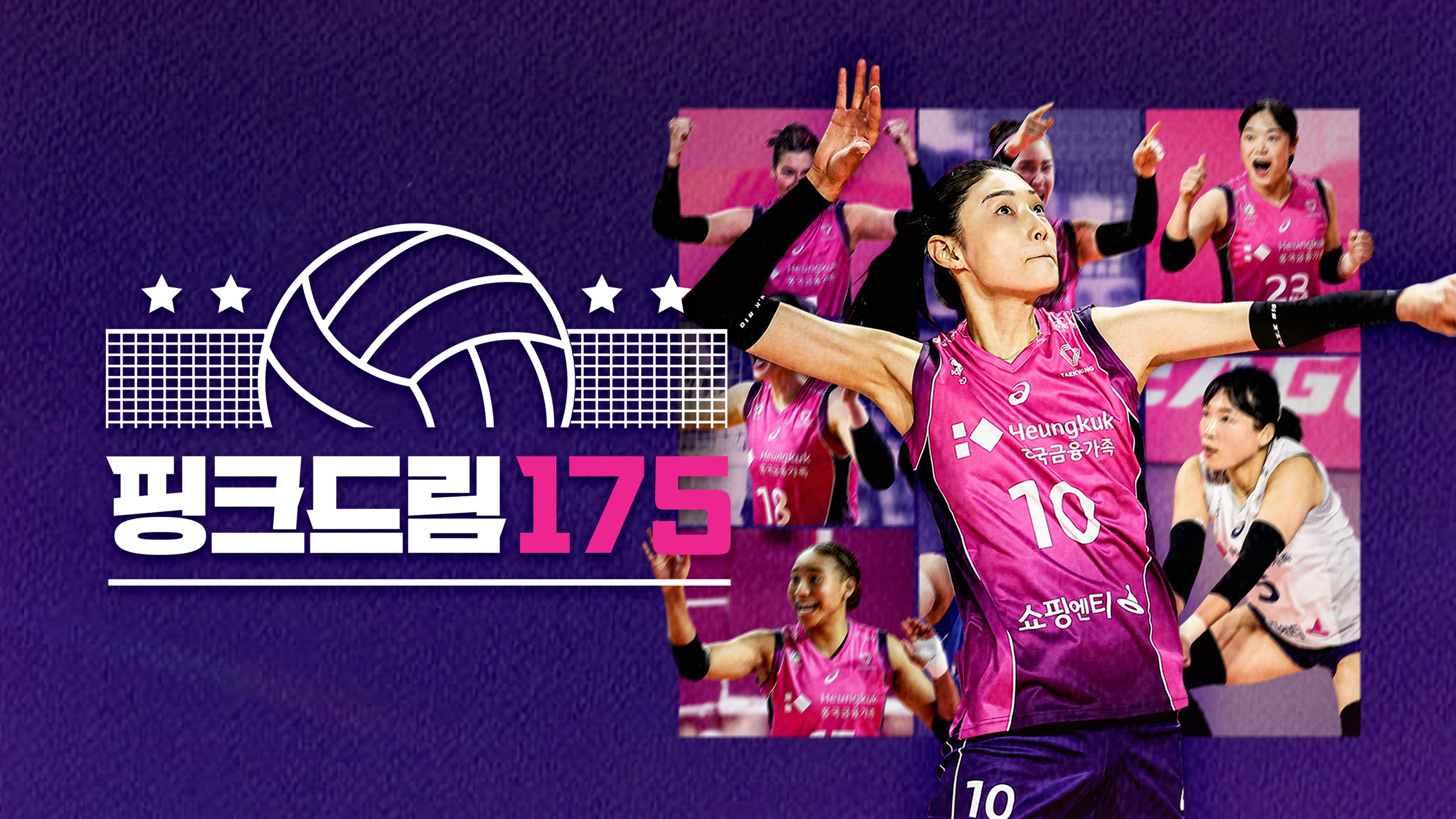 핑크드림175 포스터