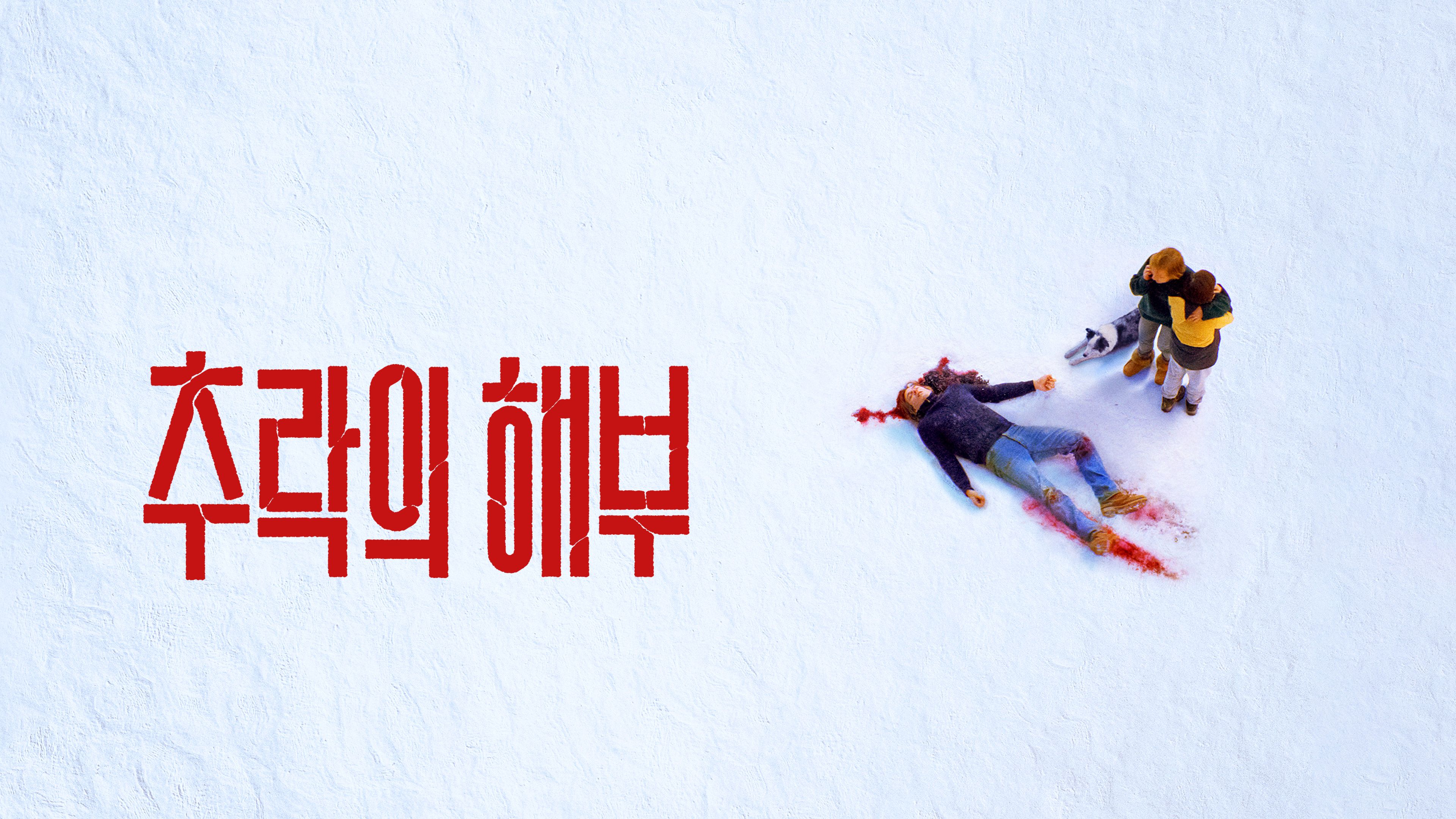 추락의 해부 포스터