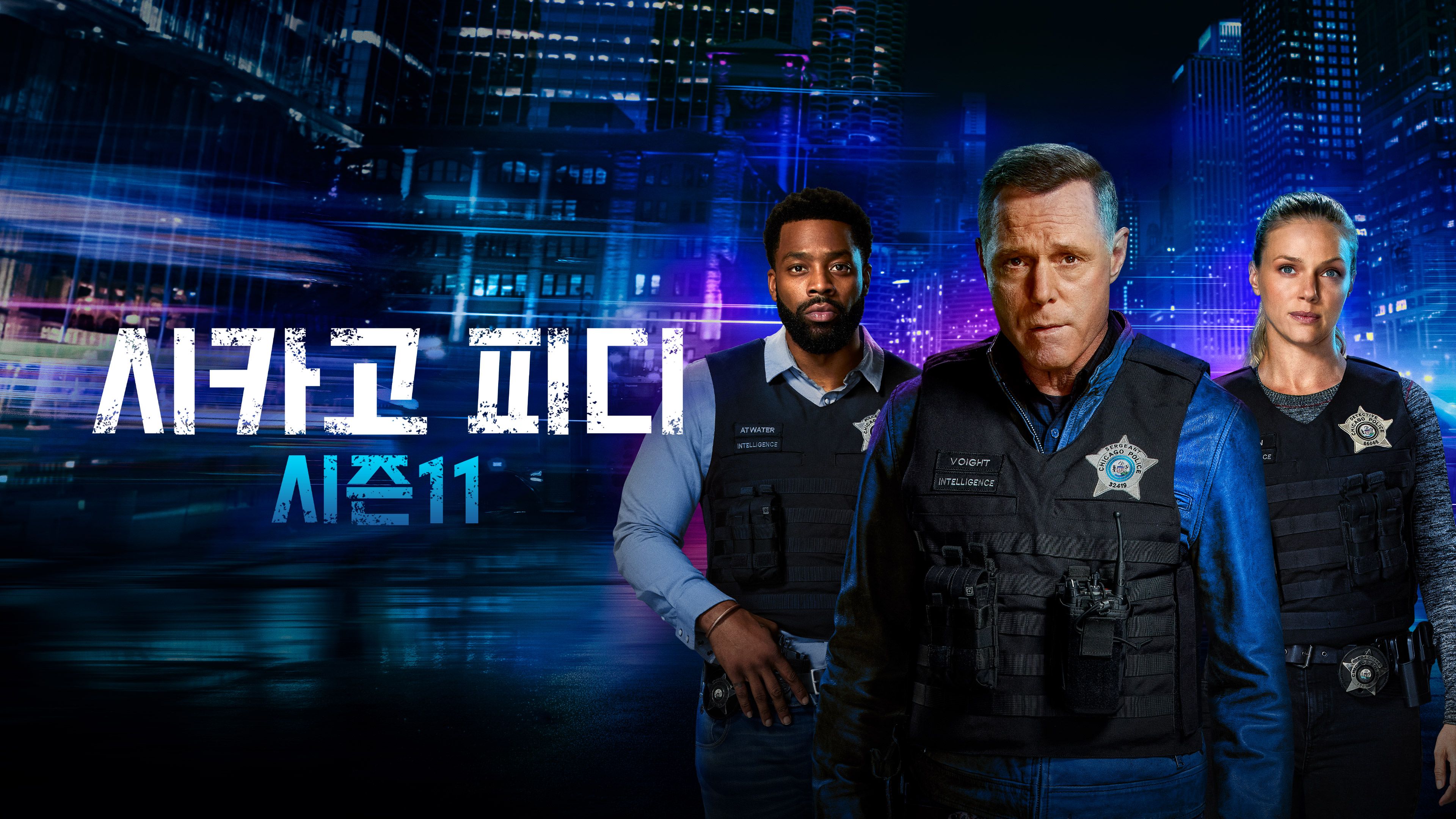 시카고 피디  시즌11 포스터