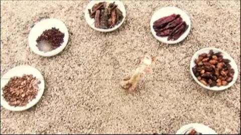 논스톱 214회
