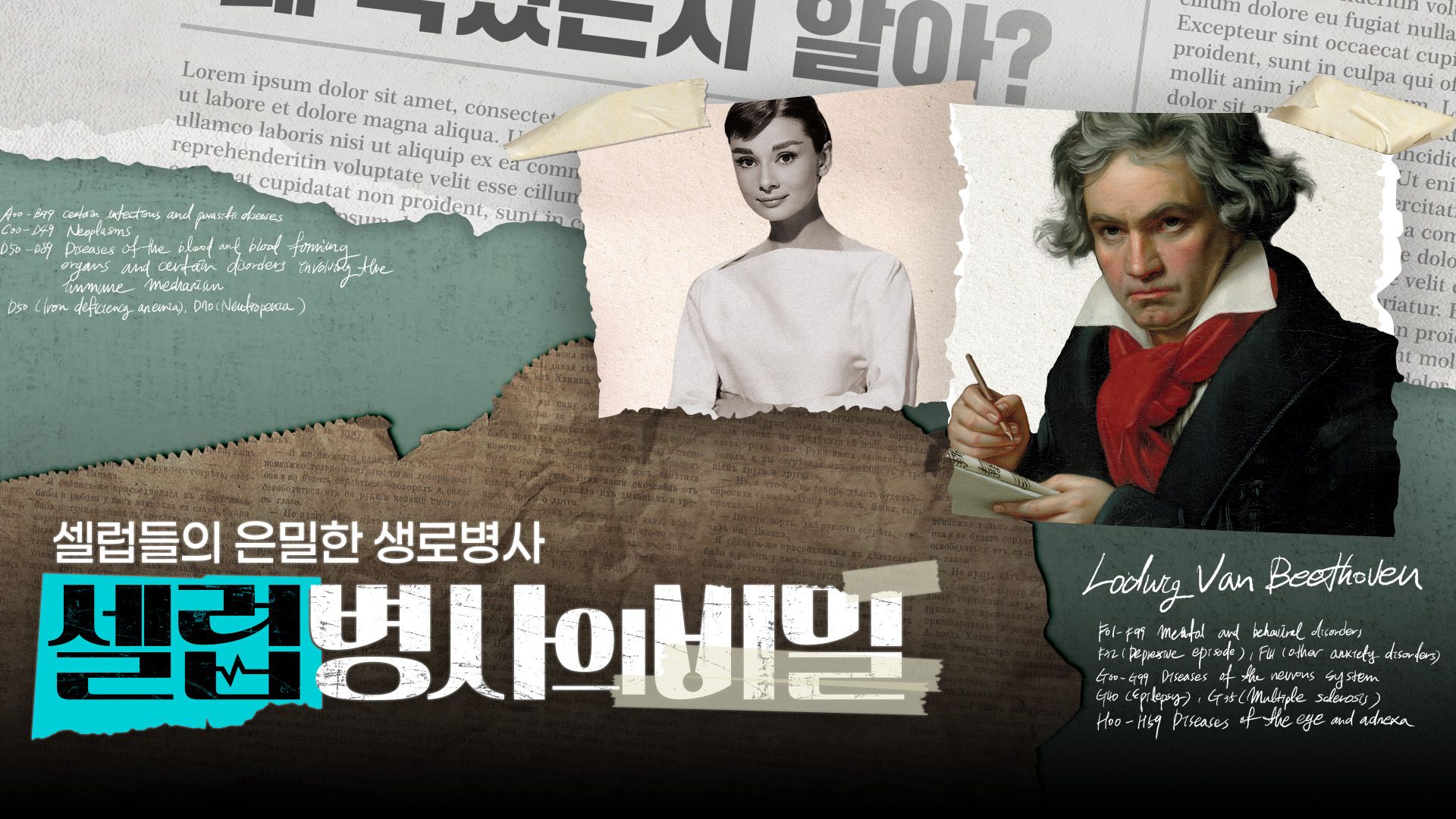 셀럽병사의 비밀 포스터