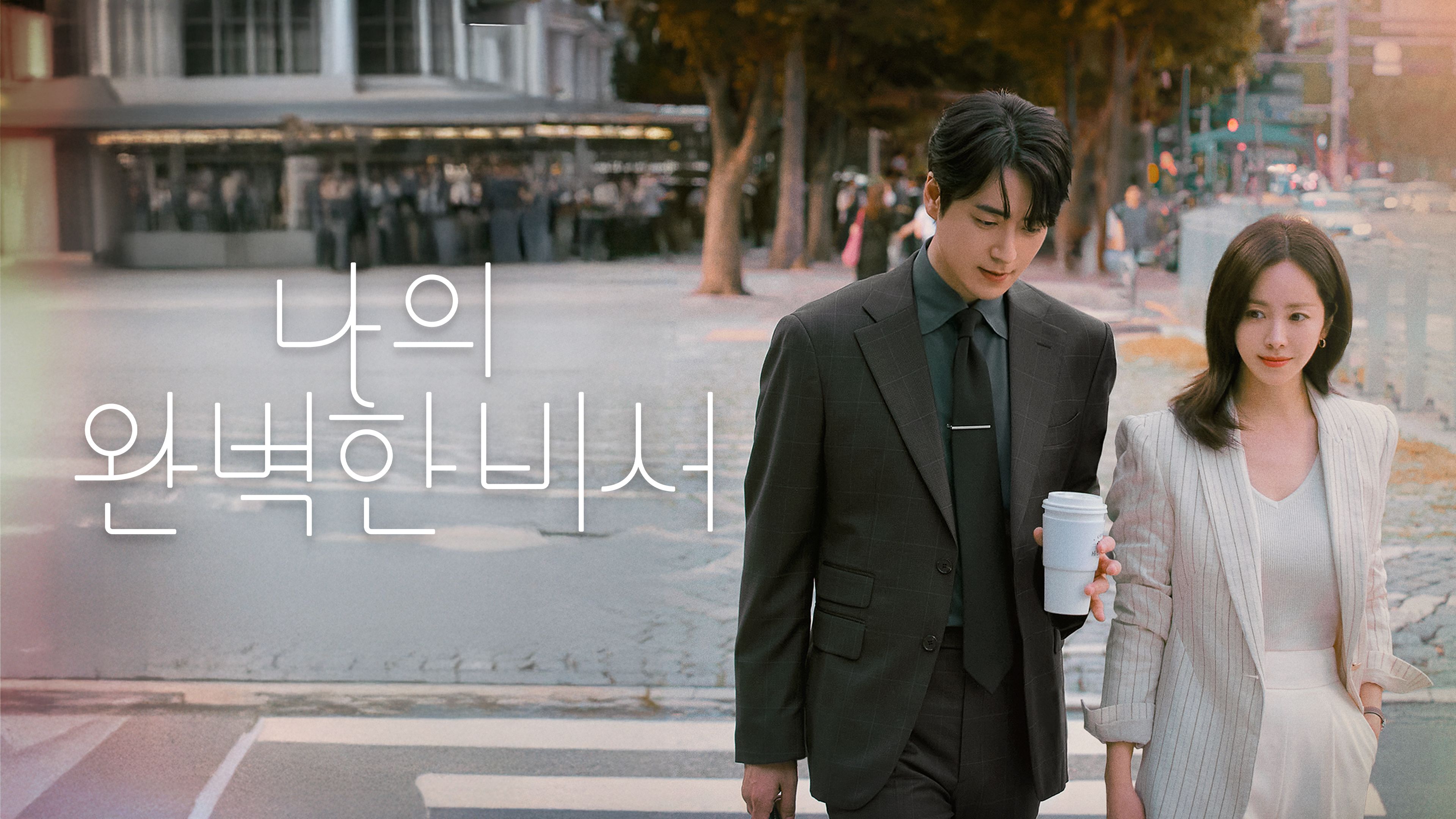 나의 완벽한 비서 포스터