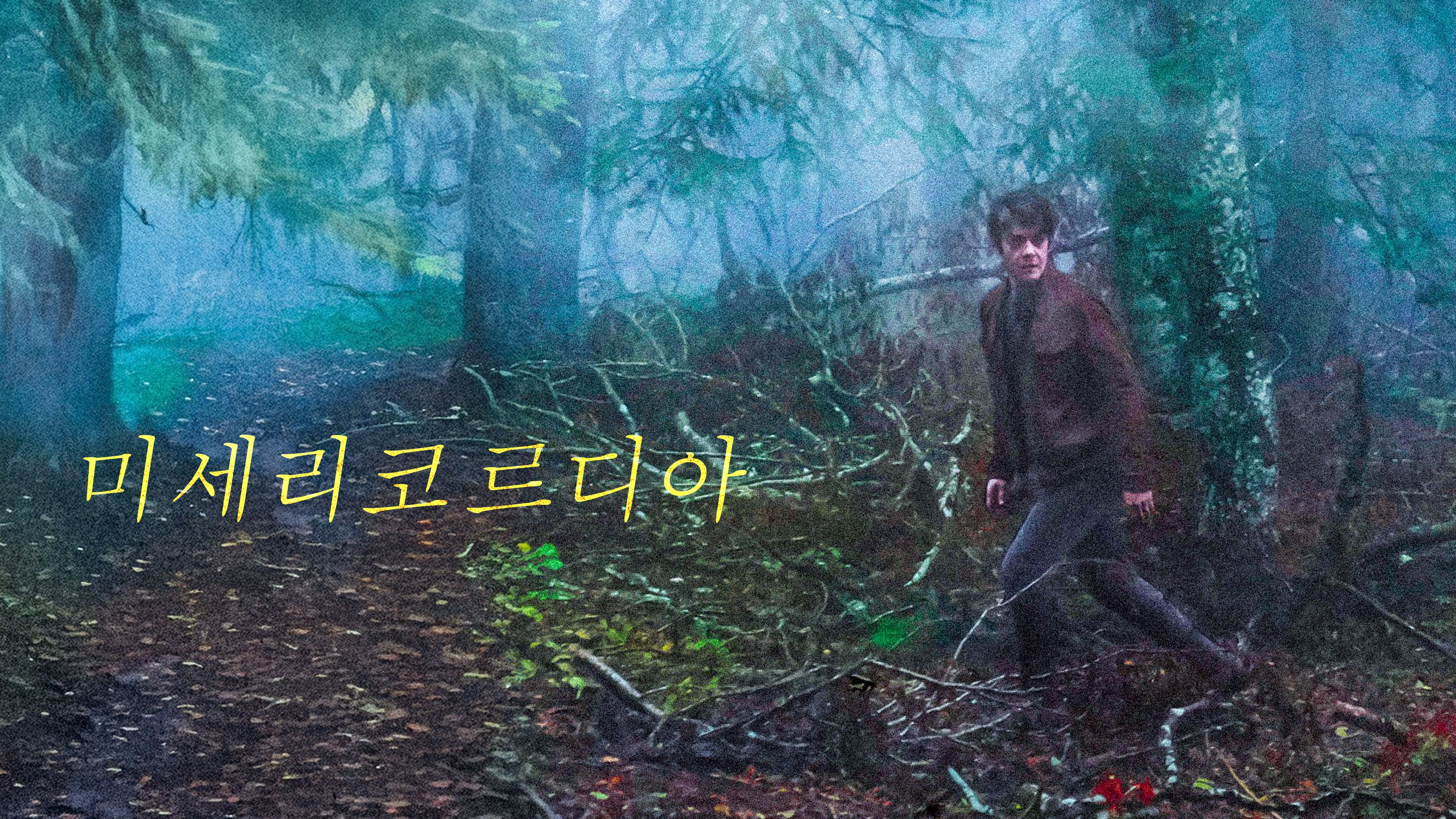 미세리코르디아 포스터