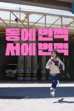 동에 번쩍 서에 번쩍