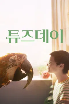 튜즈데이