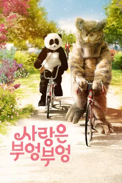 사랑은 부엉부엉