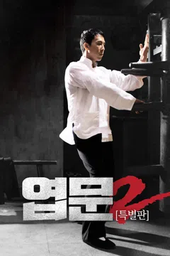 [특별판] 엽문 2