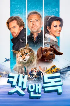 캣 앤 독