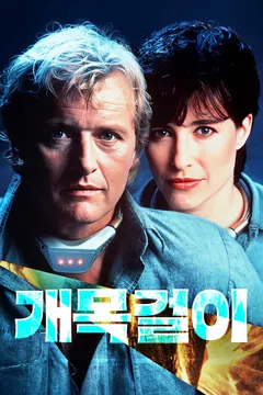 개목걸이