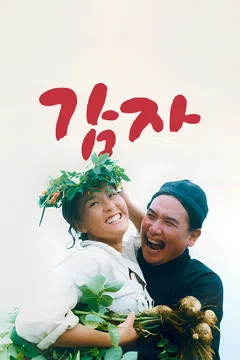 감자