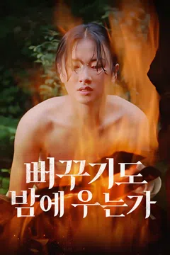 뻐꾸기도 밤에 우는가