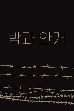 밤과 안개