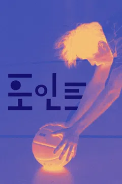 포인트