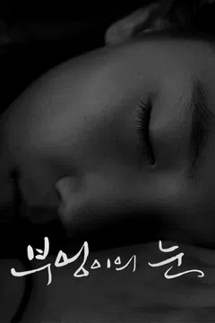 부엉이의 눈