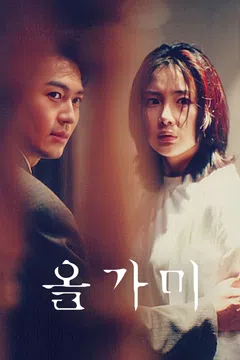 올가미