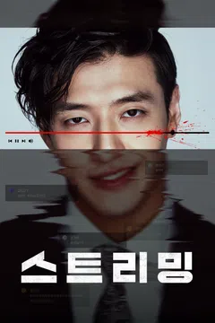 스트리밍
