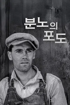 분노의 포도