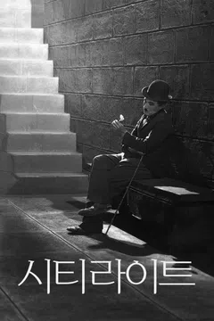 시티 라이트