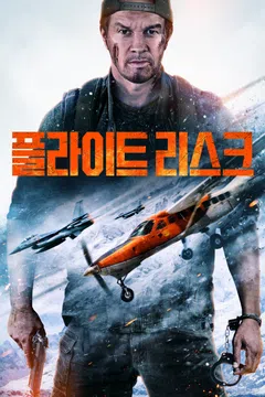 플라이트 리스크