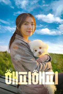 해피해피