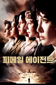 피메일 에이전트