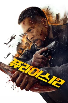 퓨리어스 12