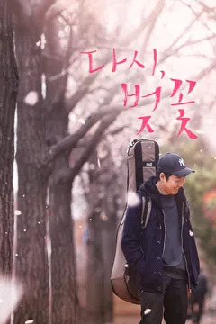 다시, 벚꽃