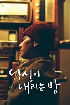 당신이 내리는 밤