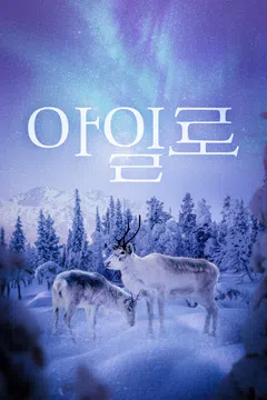 아일로