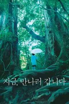 지금 만나러 갑니다 (2004)