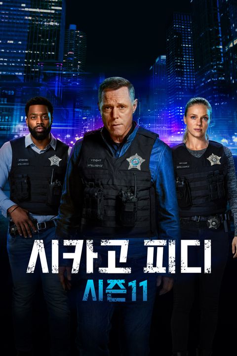 시카고 피디 시즌11
