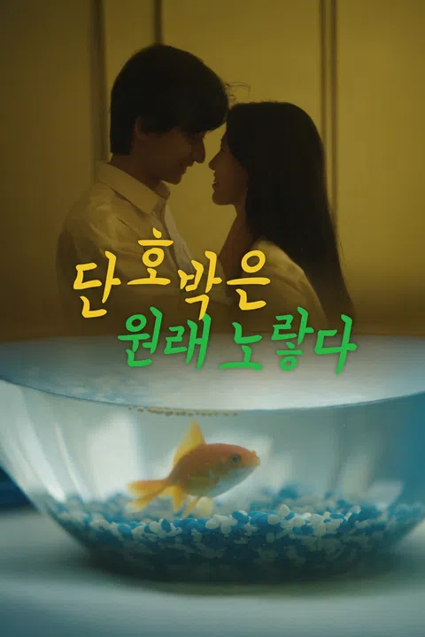 단호박은 원래 노랗다