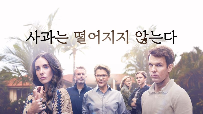 사과는 떨어지지 않는다 완벽해 보이는 가족의 이면